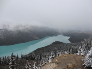 Peyto Lake - Banff NP                   